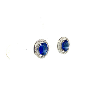 Sapphire and Diamond Earrings in 18K White Gold - KGT 33088-1